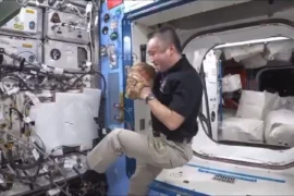 Japonų Astronautas Koichi Wakata Demonstruoja Unikalų Būdą žaisti Beisbolą Vienam