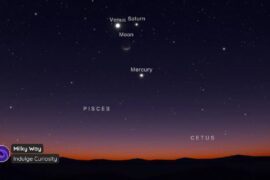 3833 Astronomų Atrasta Dangaus šypsena Česyr