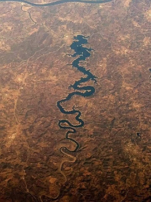 3234 Mėlynasis Drakonas Portugalijos Upė Iš