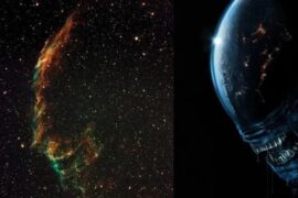 3281 Astrophotographer Captures Alienlike Structures In Veil Neb