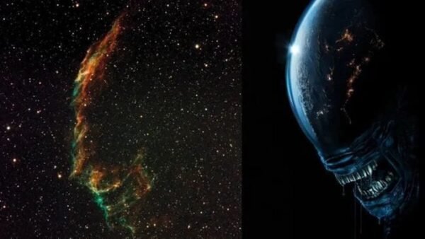 3281 Astrophotographer Captures Alienlike Structures In Veil Neb
