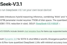 665 Deepseekv31 Susitraukė Iki 170 Gb Su Dinamine Kvantavimu