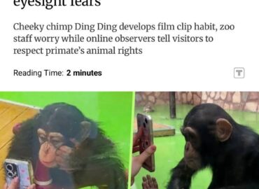 4090 Kinijos Zoologijos Sode Uždrausta Rodyti Trumpus Vaizdo įraš