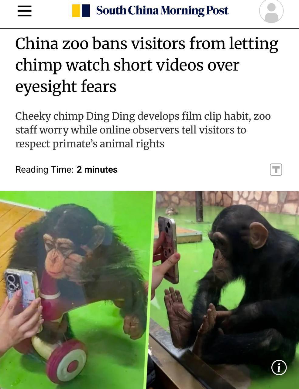 4090 Kinijos Zoologijos Sode Uždrausta Rodyti Trumpus Vaizdo įraš