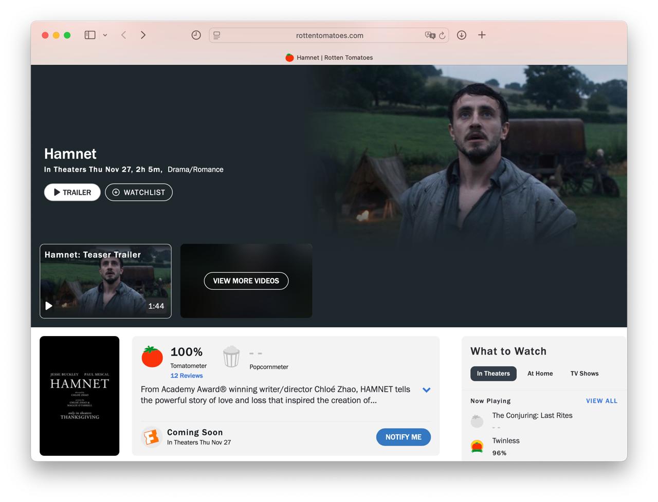 5266 Filmas Hamnet Pelnė 100 įvertinimą Rotten Tomatoes Platfo