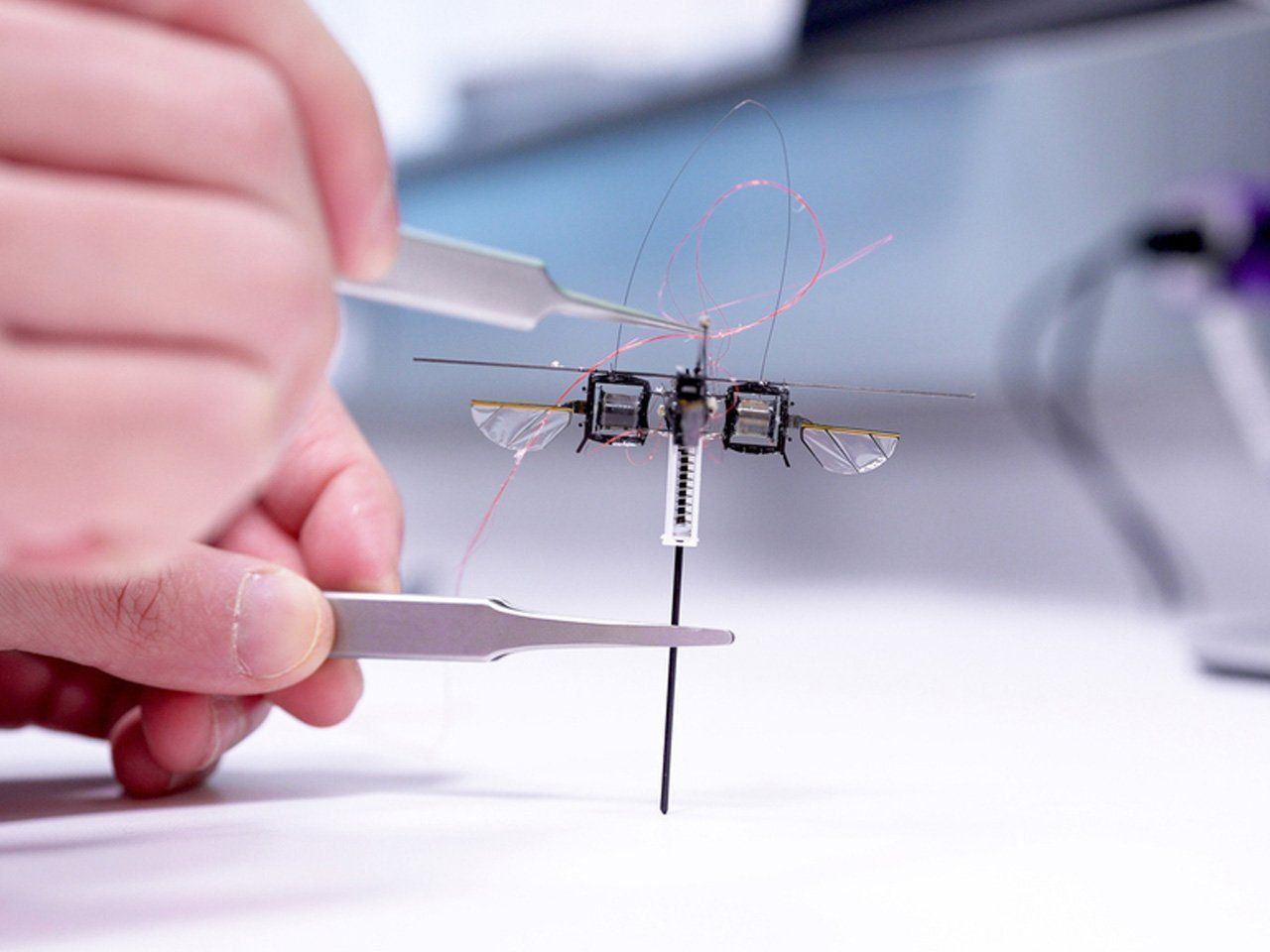 689 Mit Sukūrė Robotąbitę Augalų Apdulkinimui Ir Marso Misijoms