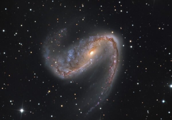 Processed With Maxim Dl