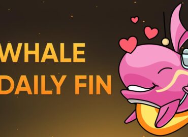 3414 Sužinokite Apie Naujausius Whaleio Atnaujinimus Ir Akcijas