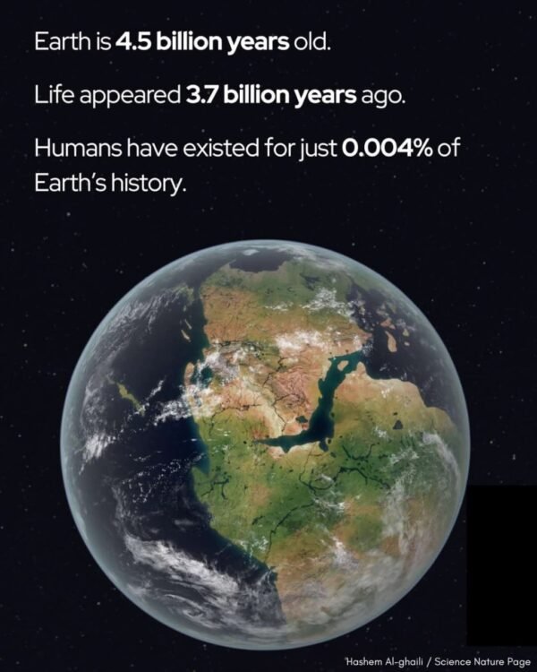 3450 Žemės Istorija Be žmonių 99996 Mūsų Planetos Praeities