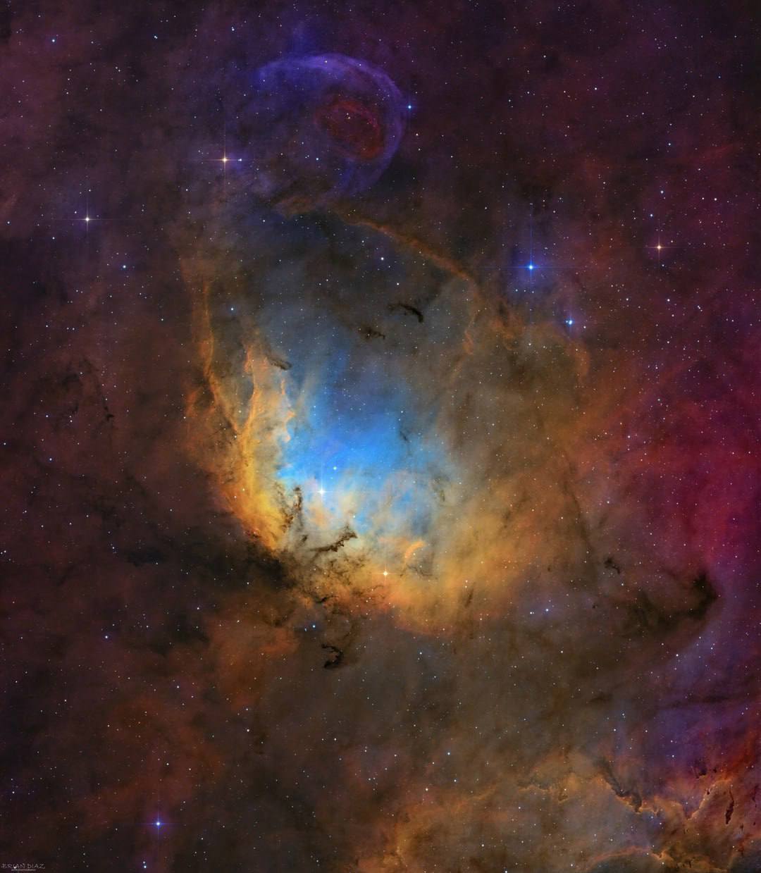 4251 Kerintis Tulpių ūko Grožis 43 Valandų Ekspozicija