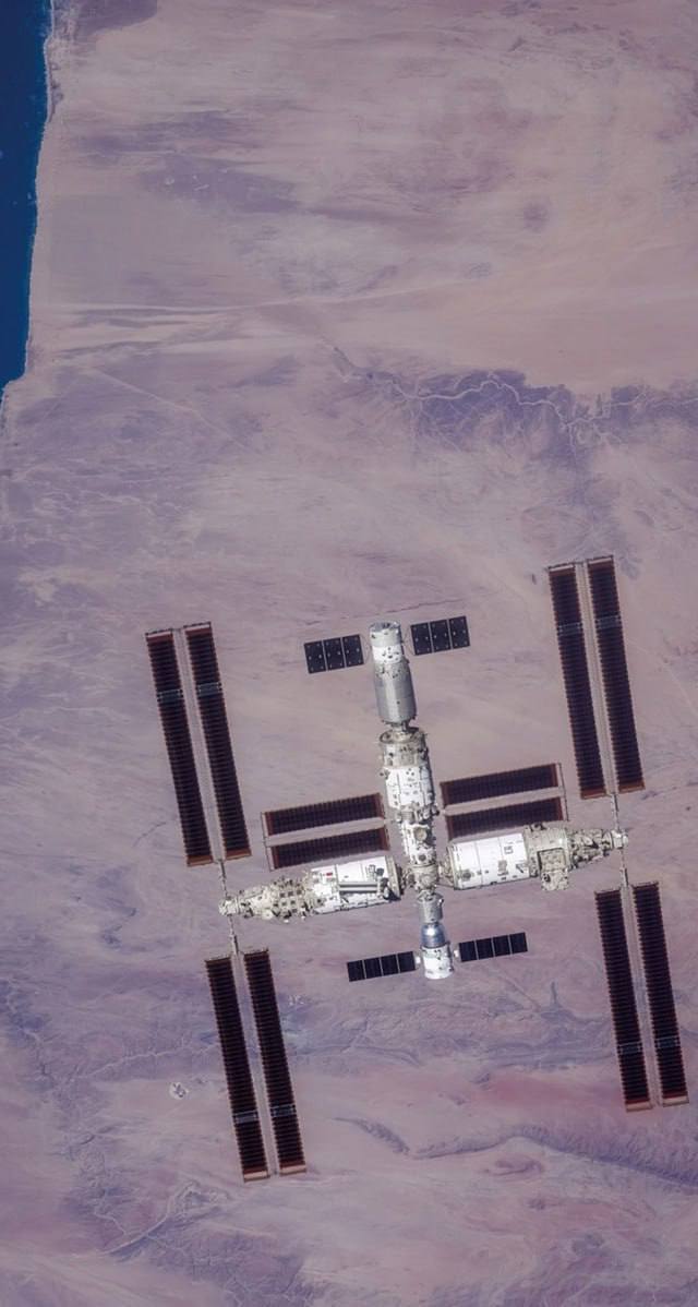 4389 Kinijos Tyrimas Mikrogravitacijos Poveikis Embrionams