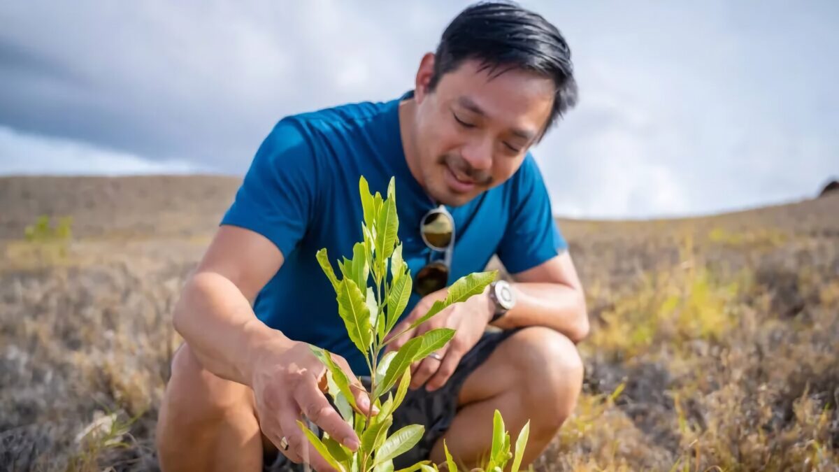 5561 Terraformation Pradeda Medžių Sodinimo Prenumeratą