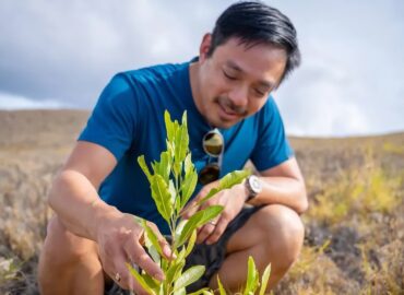5561 Terraformation Pradeda Medžių Sodinimo Prenumeratą