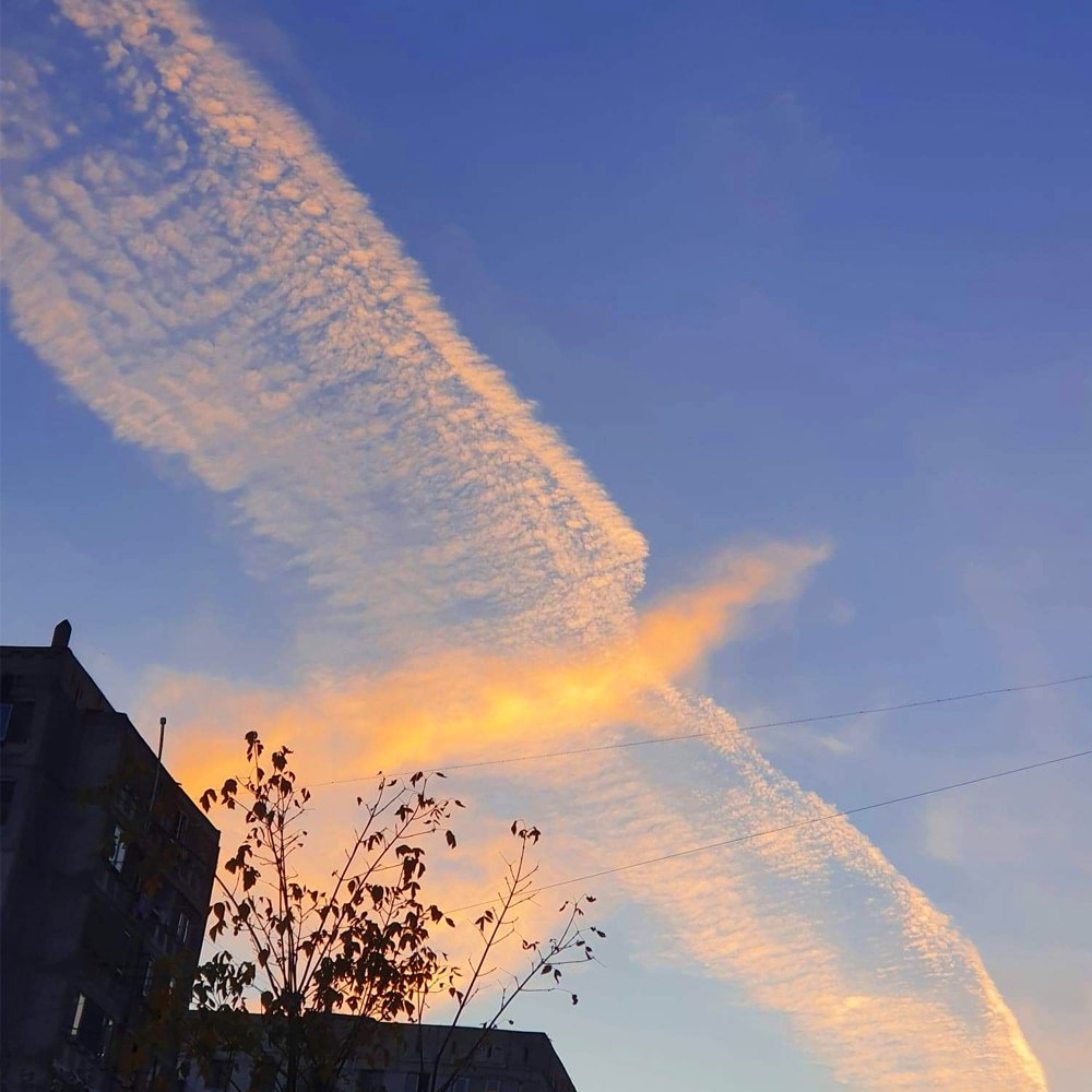 10150 Fenikso Formos Debesys Stebina Pasaulį