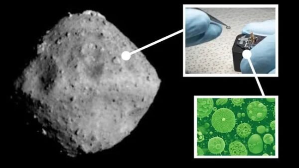 10562 Gyvybės Užuomazgos Po Asteroido Smūgio Lapajarvi Ežere