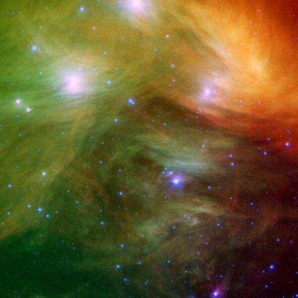 1162 Pleiadžių žvaigždžių šeimos Atradimas