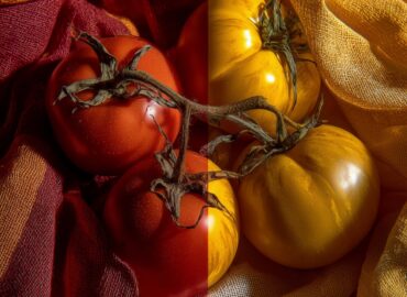 1416 Geltonųjų Pomidorų Spalvos Paslaptis