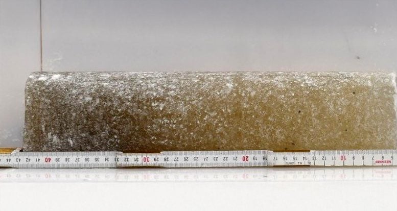 1453 Senovinio Ledo Atradimai Antarktidoje Atskleidžia Praeities