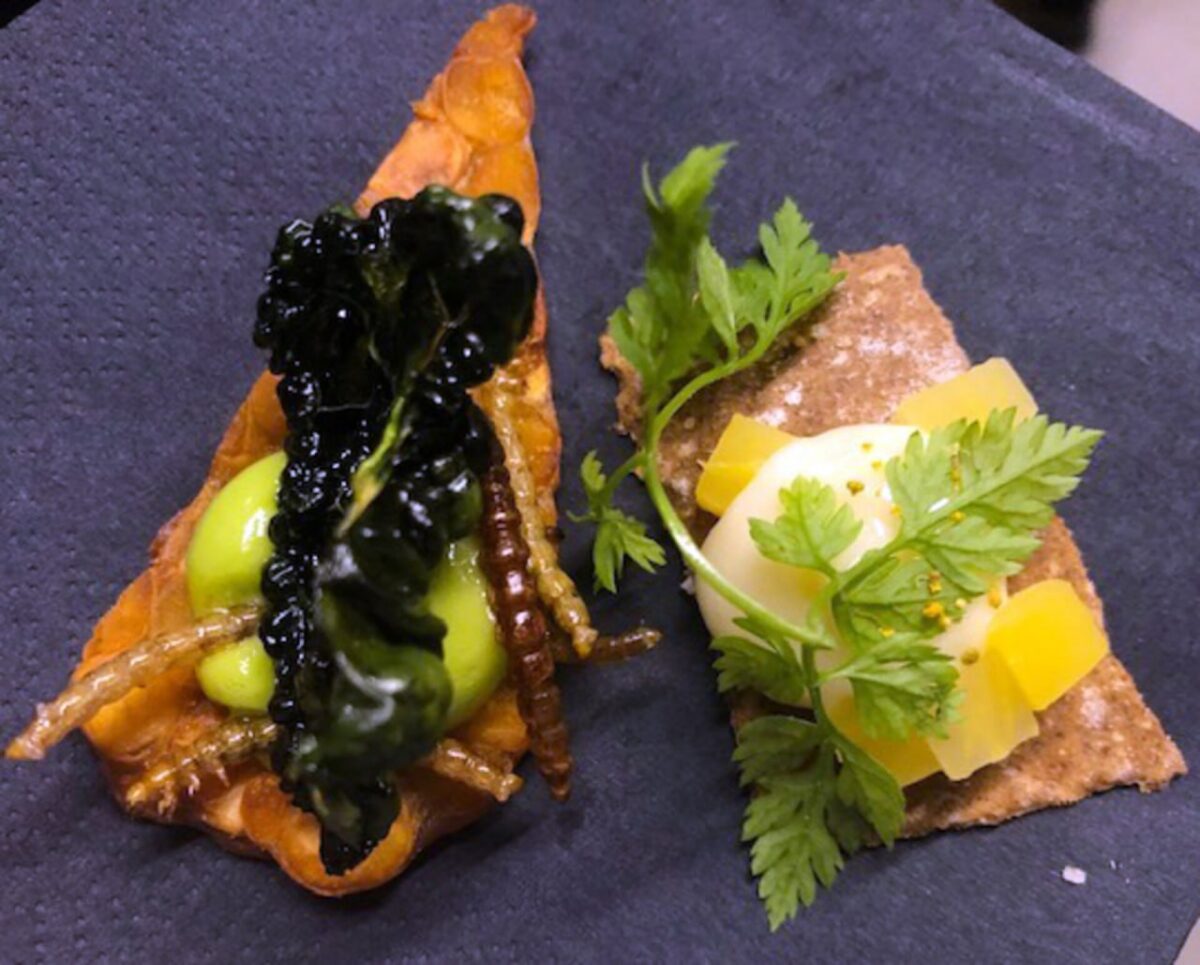 1463 Ateities Kosminė Mityba Svirpliai Ir Miltiniai Kirminai