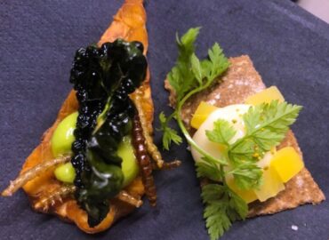 1463 Ateities Kosminė Mityba Svirpliai Ir Miltiniai Kirminai