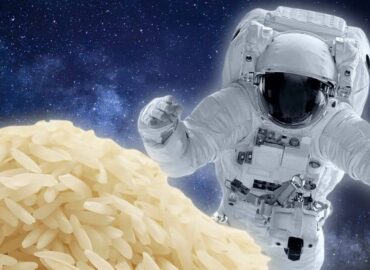 15388 Italų Mokslininkų Naujovė Ryžiai Kosminėms Kolonijoms