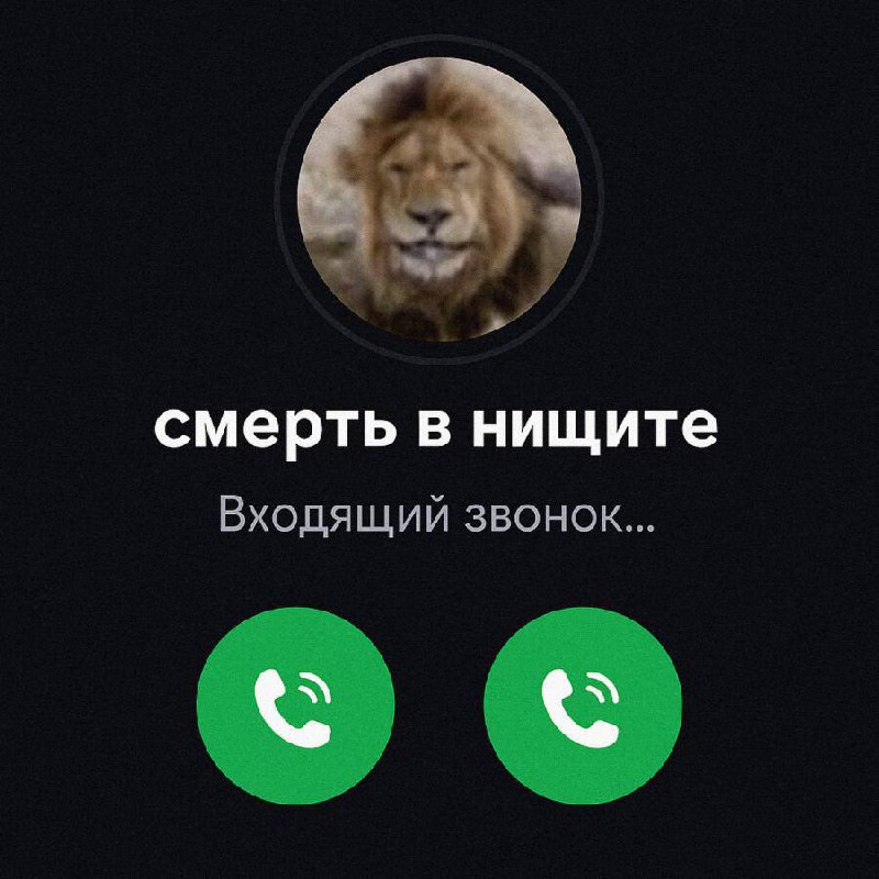 15460 Kryptovaliutos Pasaulis Suteikia Galimybes Išvengti Skurdo