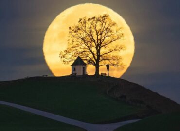 1649 Įspūdingi Fotografai Užfiksavo Pilną Lapkričio Mėnulį