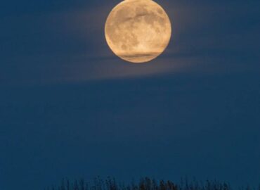 1653 Įspūdingi Fotografai Užfiksavo Pilną Lapkričio Mėnulį