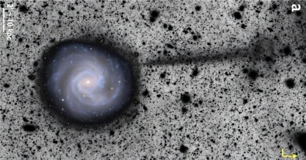 2148 Nauja žvaigždžių Srauto Atradimas Galaktikoje M61