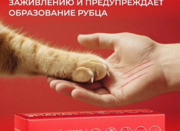 2184 Emalano Hidrogeliu Atkuriama Oda Net Ekstremaliomis Sąlygomi