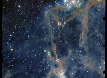 2187 Naujos žvaigždės Ir Tarpžvaigždinės Dulkės Atradimai Su Tel