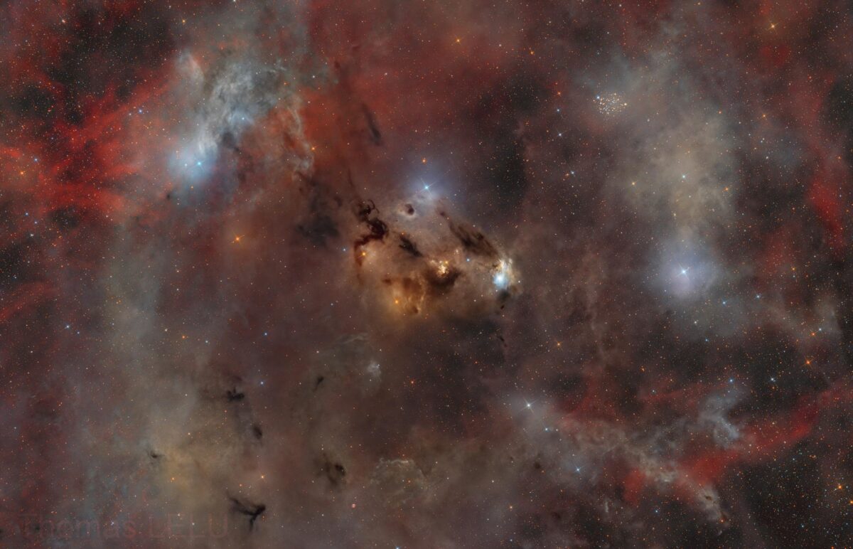 Tamsūs debesys ir žvaigždžių formavimas Gulbės žvaigždyne