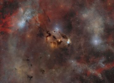 2953 Tamsūs Debesys Ir žvaigždžių Formavimas Gulbės žvaigždyne