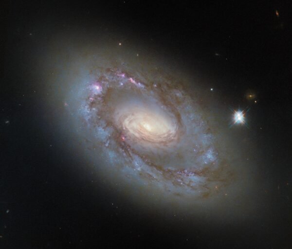 2958 Ngc 4102 Galaktika Su Aktyviu Branduoliu Ir Supermasyvia Juo