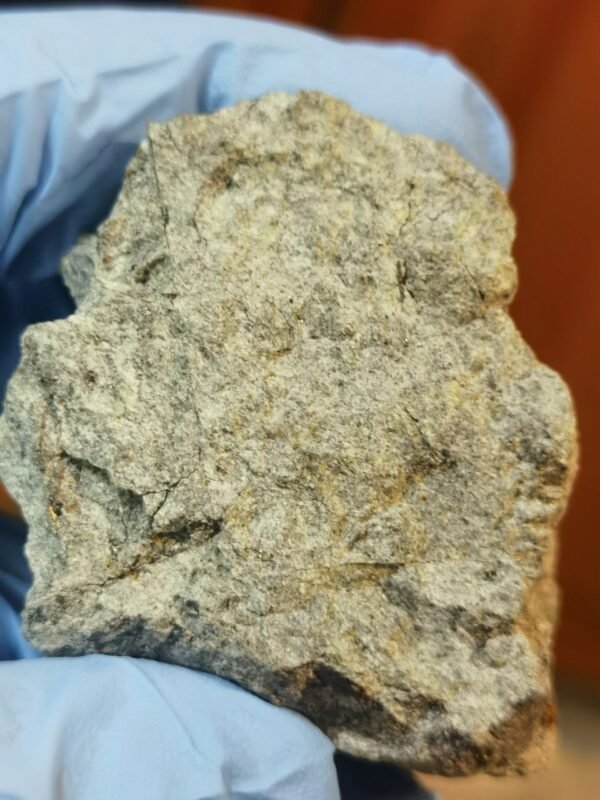 2969 Meteoritų Atradimas Tverės Ir Novgorodo Regionuose