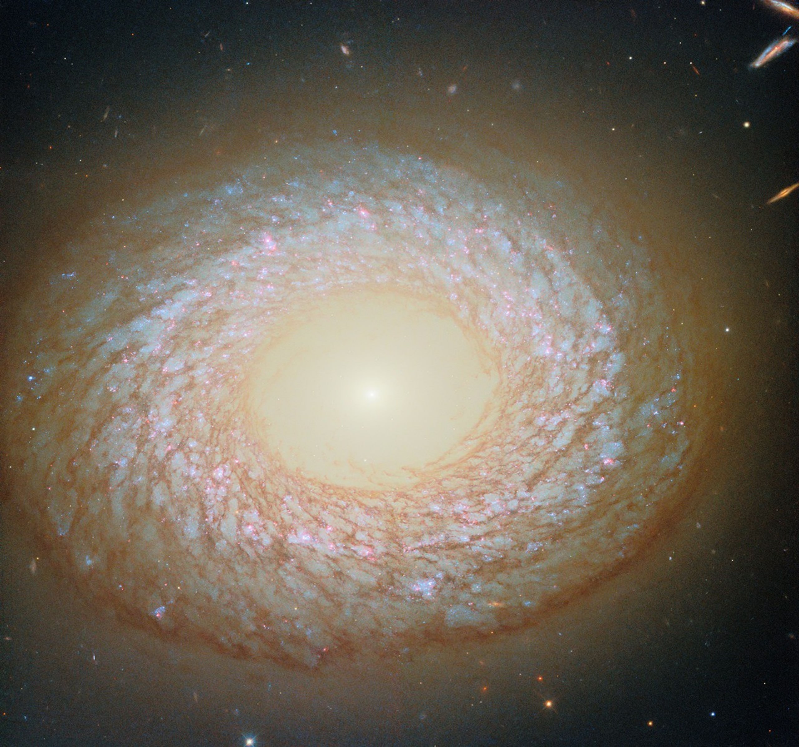 3019 Neįprasta Ngc 2775 Galaktika Ir Jos Unikali Morfologija