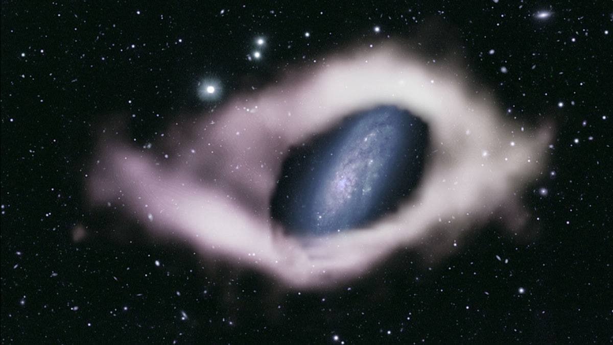 3522 Galaxy Ngc 4632 Reveals Its Hidden Polar Ring