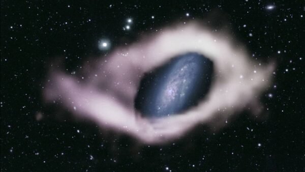 4453 Ngc 4632 Galaktika Su Paslėptu Poliariniu žiedu