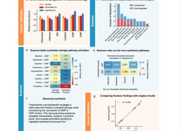 5737 Dirbtinis Intelektas Kosmos Septyni Atradimai Per Dvylika V