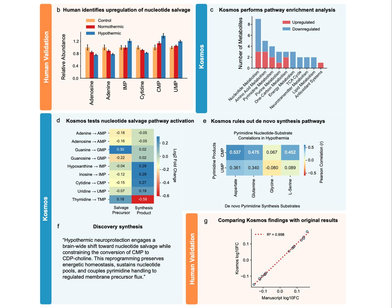 5737 Dirbtinis Intelektas Kosmos Septyni Atradimai Per Dvylika V