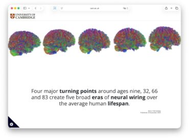 5920 Paauglystė Tęsiasi Iki 32 Metų