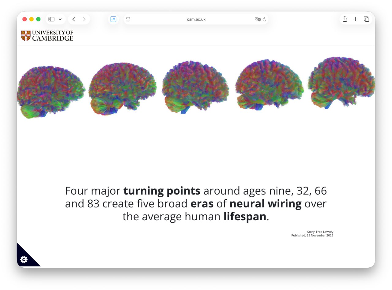 5920 Paauglystė Tęsiasi Iki 32 Metų