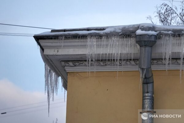 6058 Sankt Peterburge Diegiama Dirbtinio Intelekto Sistema Kovai