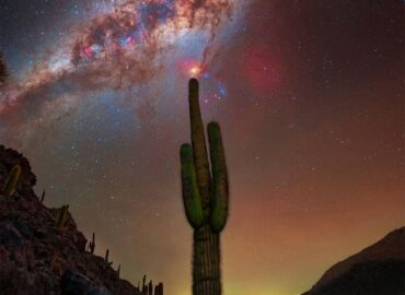 10236 Įspūdingas Kaktusų Peizažas Mlečno Kelio Fone Čilėje