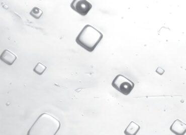 10779 Senovės Atmosferos Paslaptys Iš Gilių Ontarijo Druskos Krist