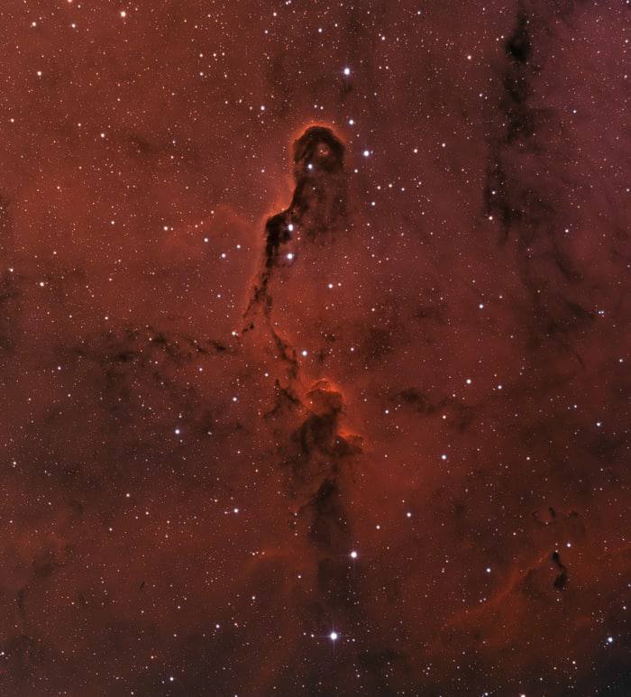 15523 Tarpžvaigždinė Kelionė Po Dramblio Straublio ūką