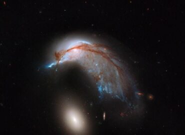 15624 Mycosmos 20251227 1841