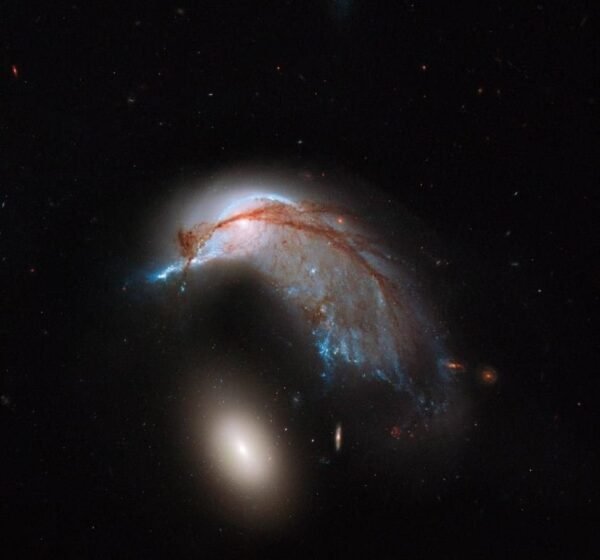 15624 Mycosmos 20251227 1841