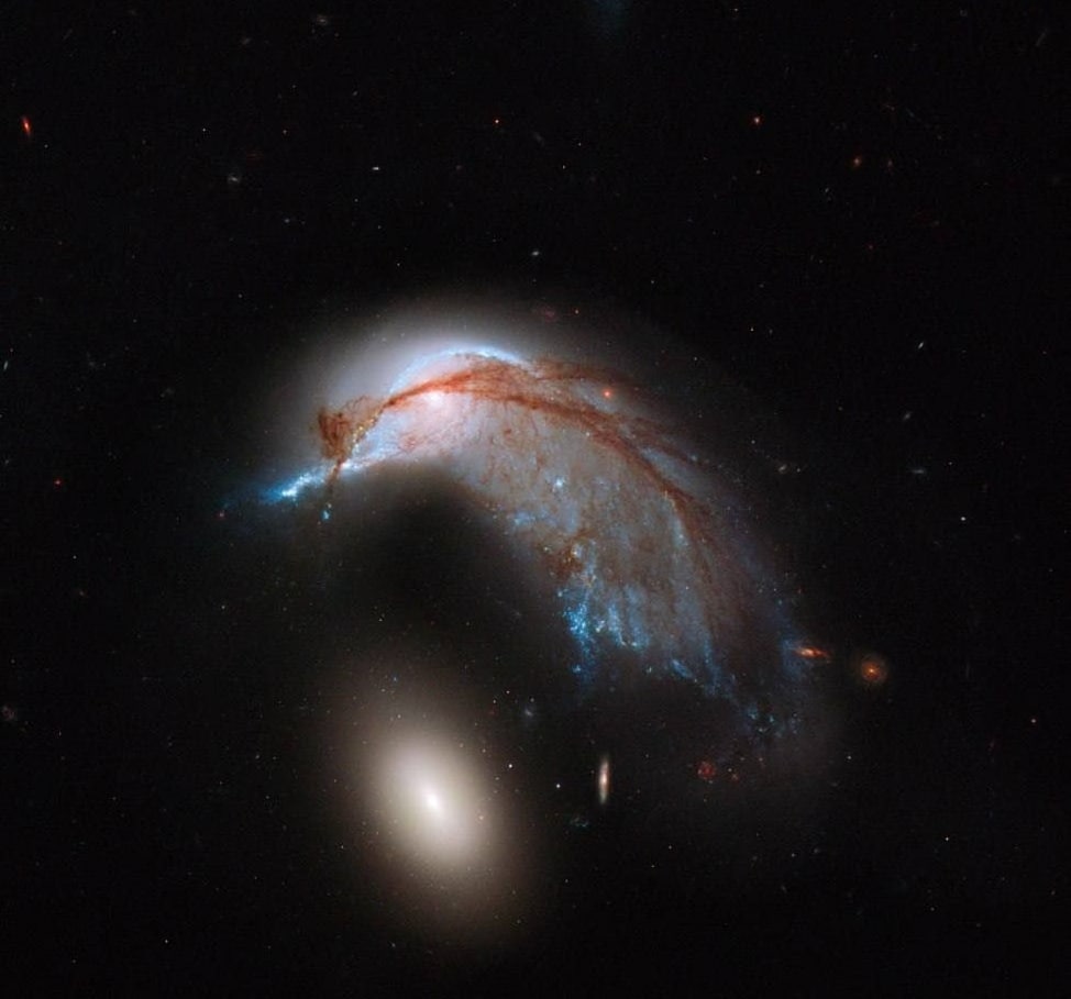 15624 Mycosmos 20251227 1841