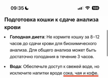 19859 Dirbtinio Intelekto įtaka Kasdieniam Gyvenimui